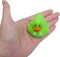 4E's Novelty 24 Pcs St Patricks Day Rubber Ducks - 2 inch Shamrock Rubber Duckies Bulk - St. Patrick's Day Gifts for Kids Party Favors Accessories